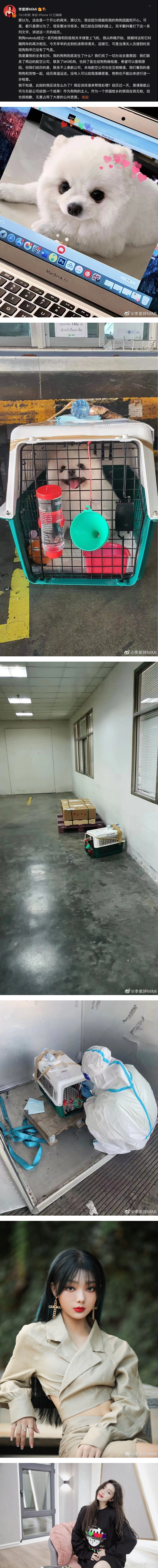 “火箭少女101”李紫婷托运爱犬…接机时竟成死尸！心痛控诉航空公司 娱乐资讯 图2张
