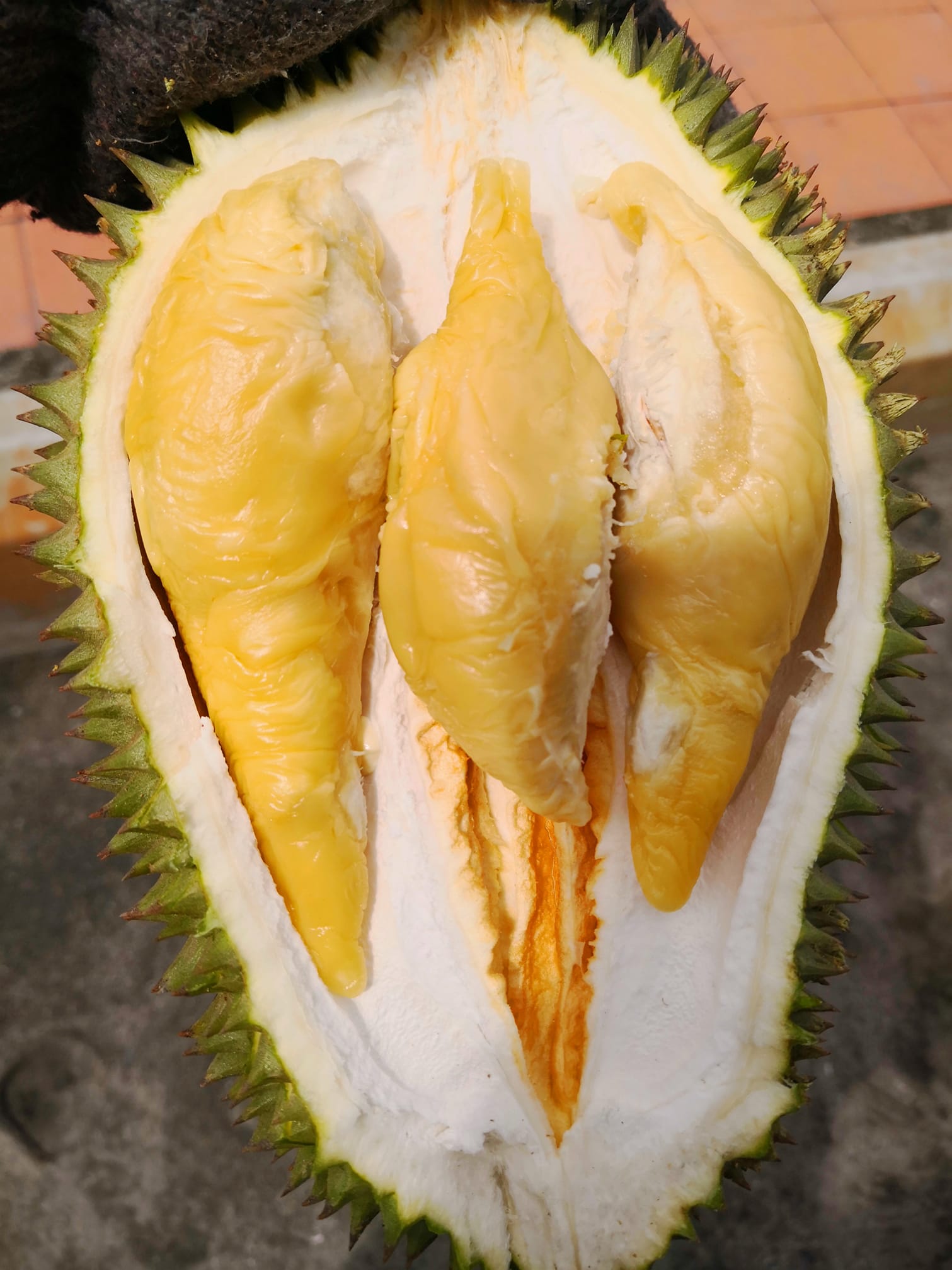 美食 I 榴莲不是只有猫山王才好吃！盘点马来西亚10大品种榴莲 更多热点 图7张