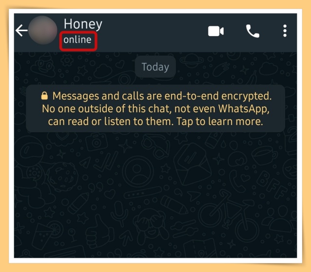 News I 就是不让你懂我在线上！WhatsApp将推出隐藏上线状态功能！ 更多热点 图4张