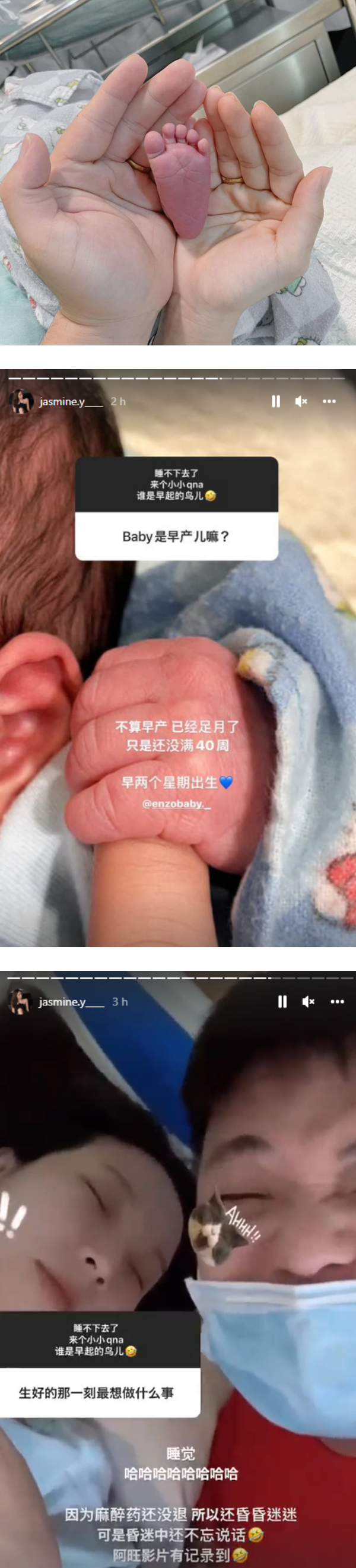 Jasmine提早2周诞下儿子！网友：Findy为什么没来看你？ 娱乐资讯 图1张