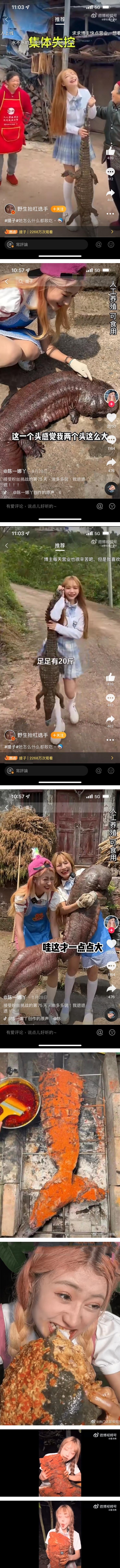 网红被曝食用幼年大白鲨被举报！急辩护：是人工养殖 娱乐资讯 图3张