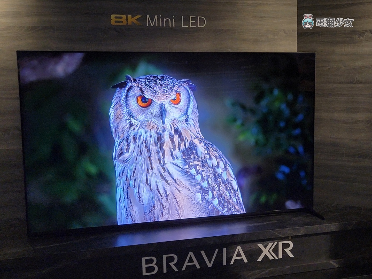 出门｜Sony BRAAIA XR 电视全系列皆为 PS5 推荐机种，体验 OLED、Mini LED 的旗舰级显色 数码科技 图13张