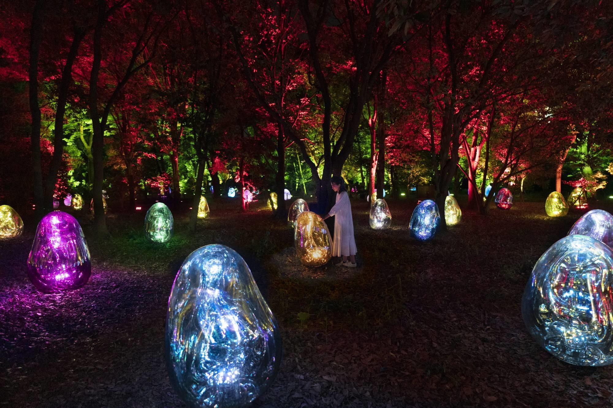 旅游 I 全球必看的展览之一，日本teamLab光影艺术8月登陆马来西亚！ 更多热点 图1张