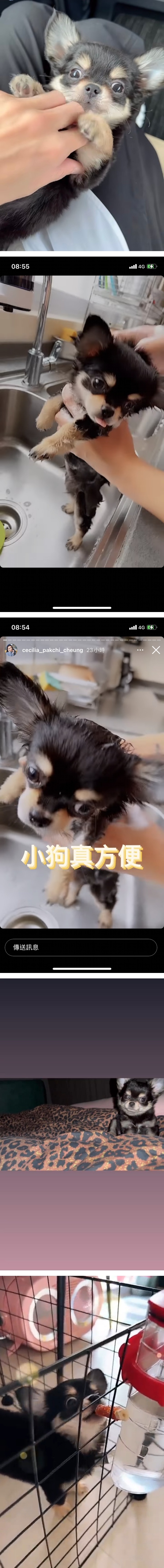 张柏芝宣布家中再添1成员！宝宝萌样曝光！ 娱乐资讯 图2张