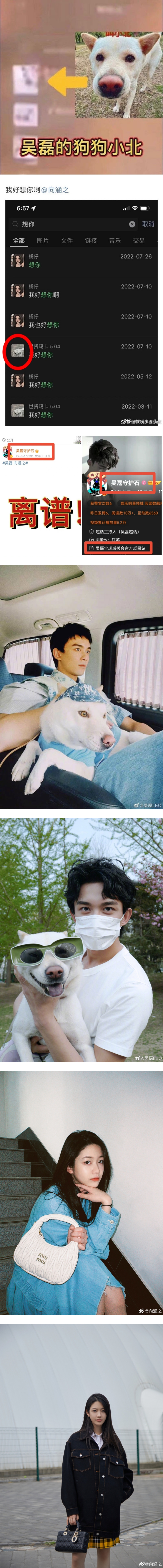 吴磊被爆恋爱了！ 直播意外泄微信聊天页面...置顶第一是20岁女星 娱乐资讯 图2张
