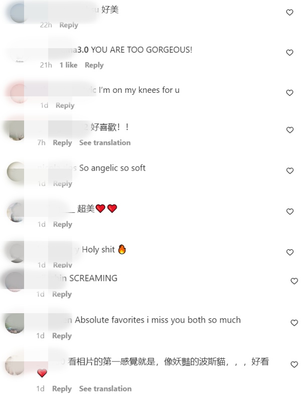 好辣...小哈利中空马甲装！网直呼：妖艳波斯猫 娱乐资讯 图2张