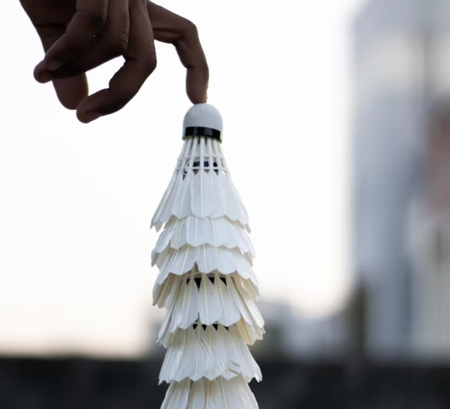 Tips｜世界上最快球类运动！这6个有趣羽毛球冷知识你知道几个？ 更多热点 图2张