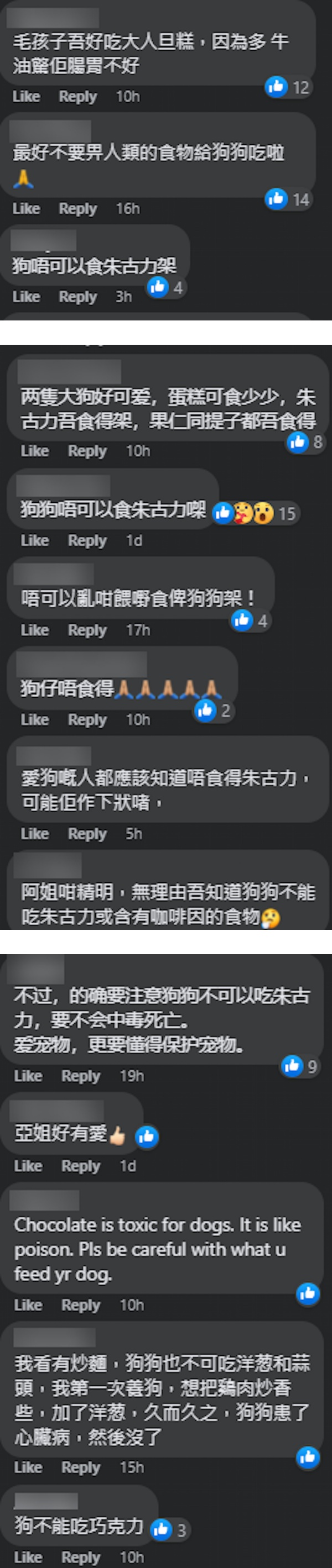 汪明荃喂爱犬吃蛋糕！网急劝：不能 娱乐资讯 图2张