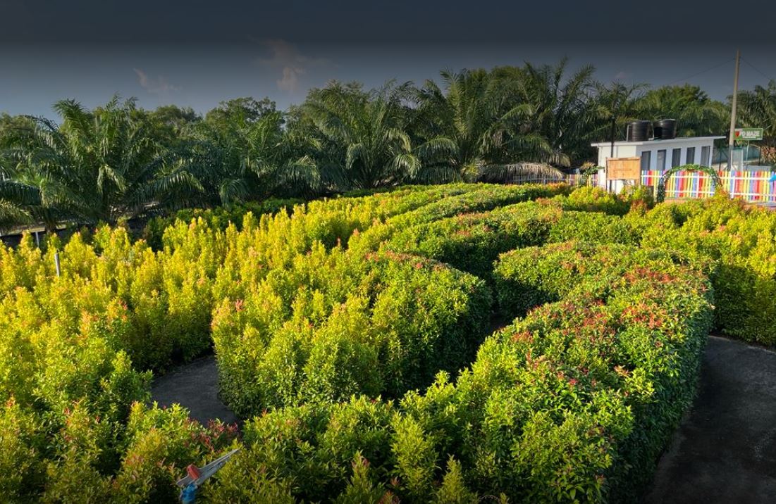 旅行 I 终于等到Port Dickson有景点了！PD Maze迷宫花园欢迎你来打卡 更多热点 图6张