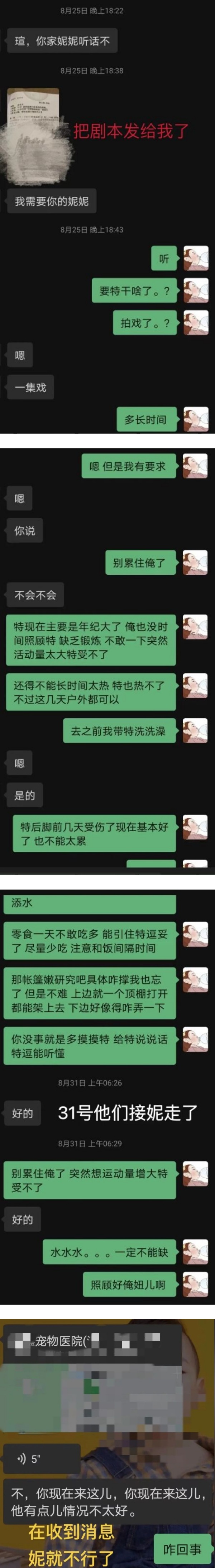 借出爱犬让900万网红剧组拍片...竟送命！网痛诉：我蠢我活该 娱乐资讯 图1张
