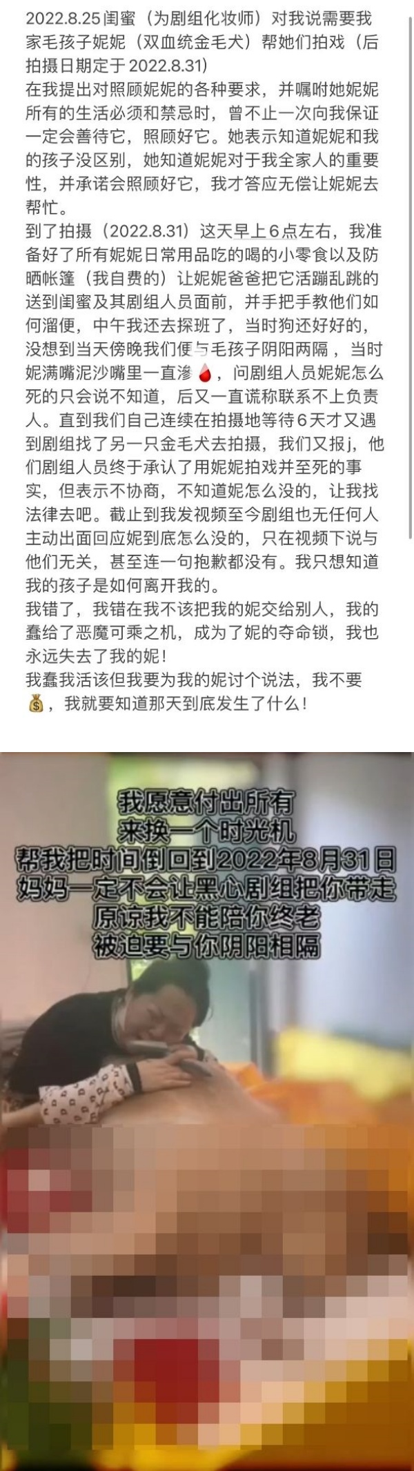 借出爱犬让900万网红剧组拍片...竟送命！网痛诉：我蠢我活该 娱乐资讯 图2张