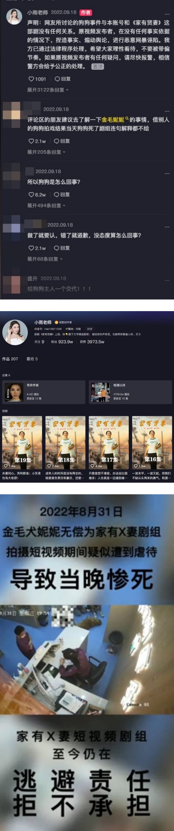 借出爱犬让900万网红剧组拍片...竟送命！网痛诉：我蠢我活该 娱乐资讯 图3张