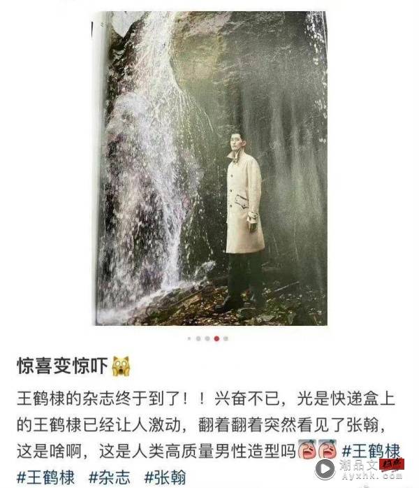 买王鹤棣杂志...打开却全是张翰！网友：惊喜变惊吓 娱乐资讯 图3张