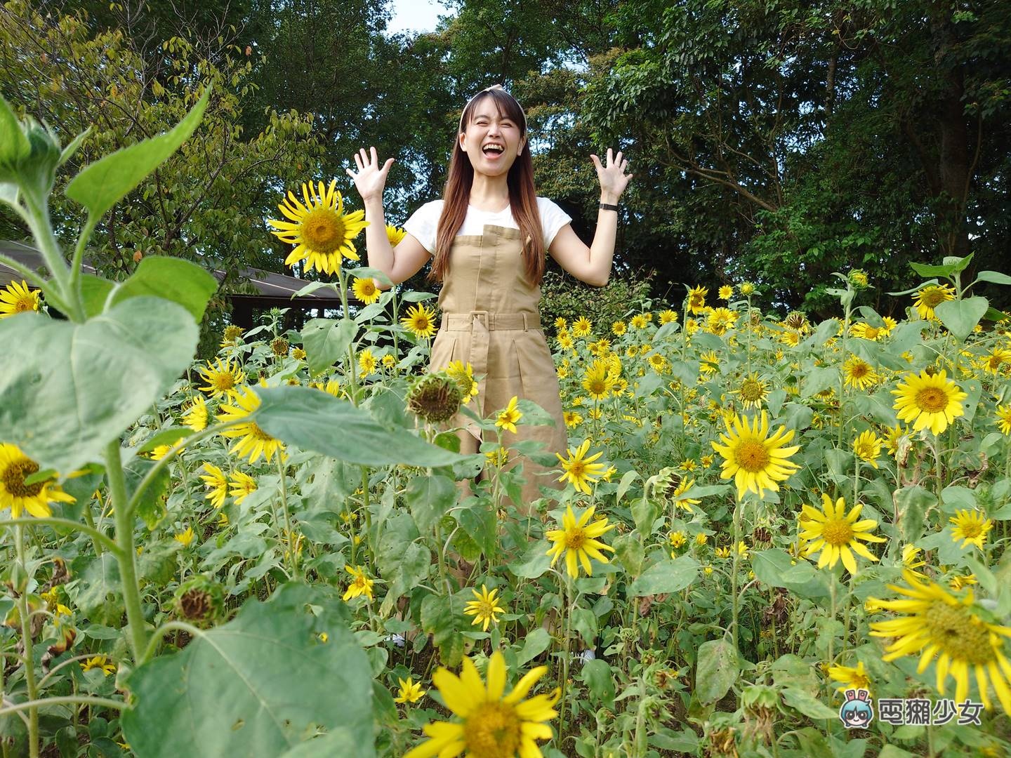 是合手手机更是强悍小相机！Sony Xperia 5 IV 温度实测与相机实拍照整理 数码科技 图12张