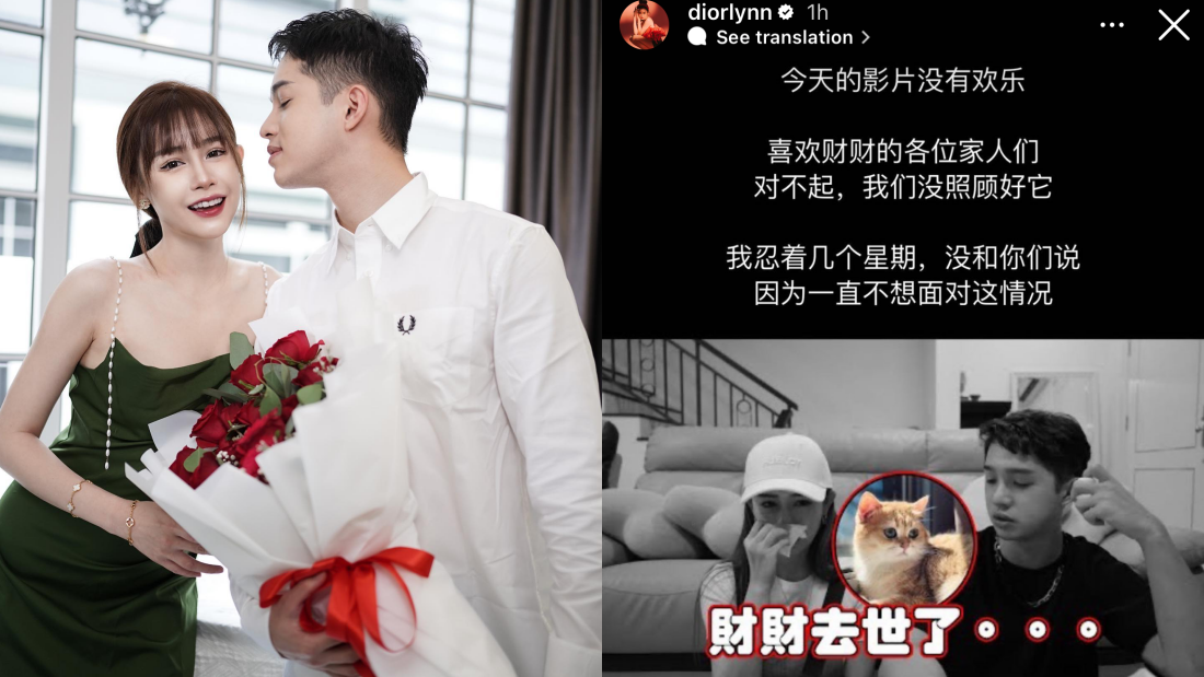 Diorlynn 、达达爱猫离世！“没办法陪它最后一程” 娱乐资讯 图1张