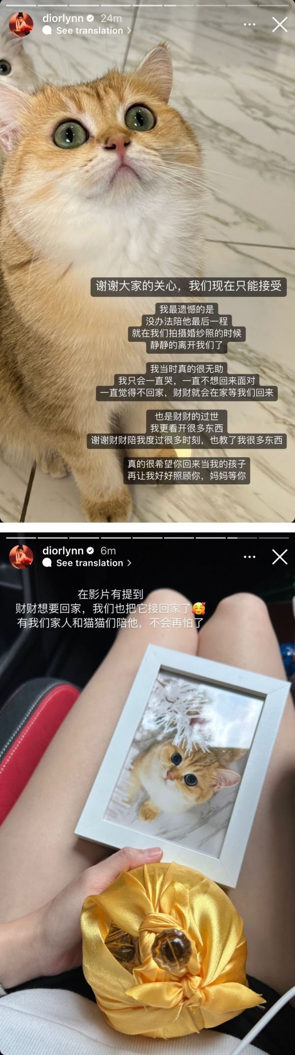 Diorlynn 、达达爱猫离世！“没办法陪它最后一程” 娱乐资讯 图3张