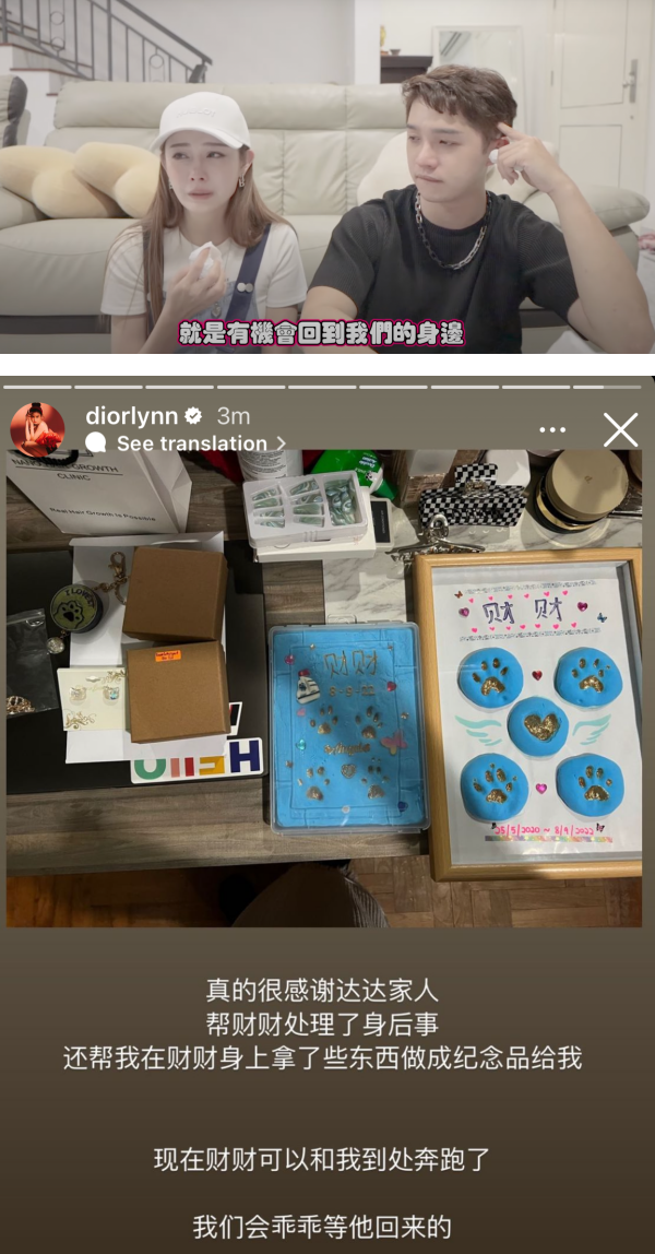 Diorlynn 、达达爱猫离世！“没办法陪它最后一程” 娱乐资讯 图4张