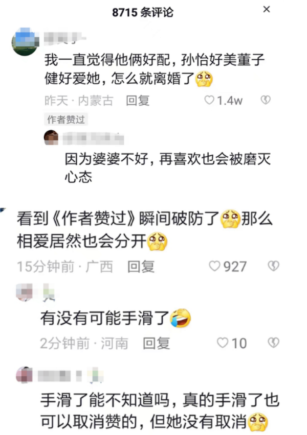 离婚董子健2月！孙怡点赞网友留言：婆婆不好 娱乐资讯 图2张