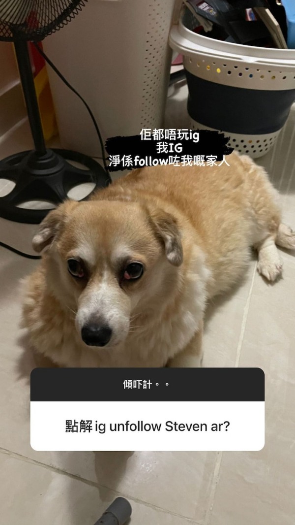 再曝婚变！张致恒IG被老婆取关：只follow我的家人 娱乐资讯 图2张