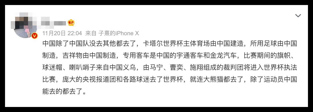 世界杯开踢！网友：内地除了内地队没去其他都去了 娱乐资讯 图4张