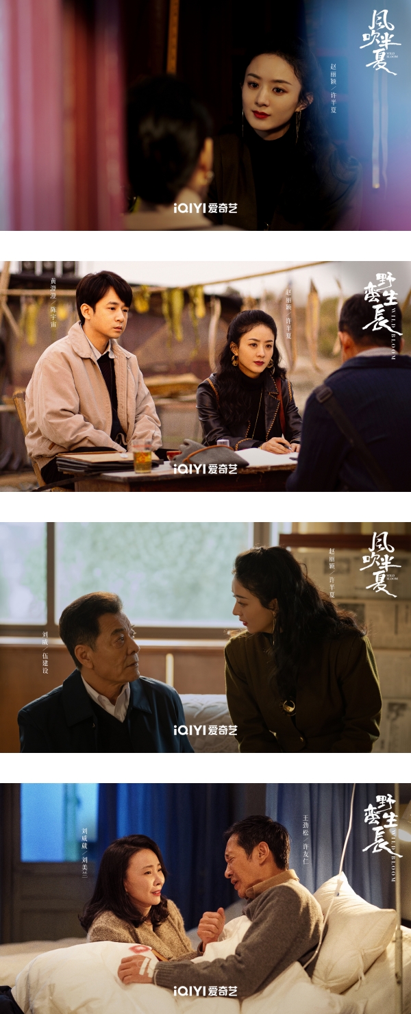 赵丽颖化身创业女强人！“许半夏”藏恶毒含义 娱乐资讯 图2张