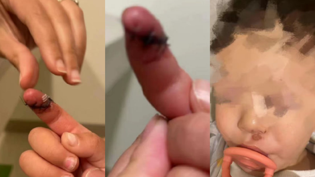 郑爽代孕弃养风波后又出事！前男友张恒突提告：虐待儿女 娱乐资讯 图3张