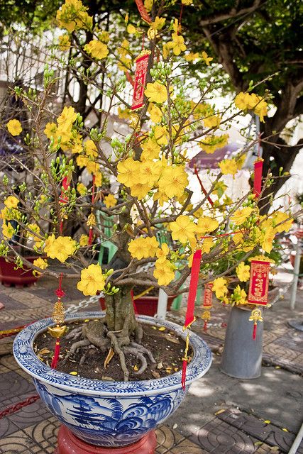 生活 I 新年6大仪式感，做齐了才能感受浓浓的年味！ 更多热点 图5张