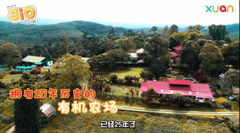 旅行 I 新年过得很Boring？Jio家人朋友来一趟知知港之旅！ 更多热点 图3张