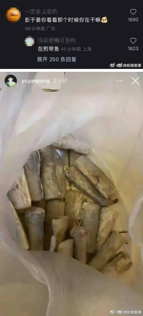 推测胡歌造人时间！彭于晏行程被翻：单身的原因 娱乐资讯 图2张