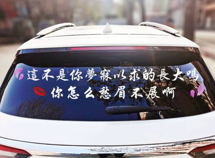 Tips I 汽车内后窗别乱摆放娃娃、枕头装饰，绝对是影响安全的隐患！ 更多热点 图3张
