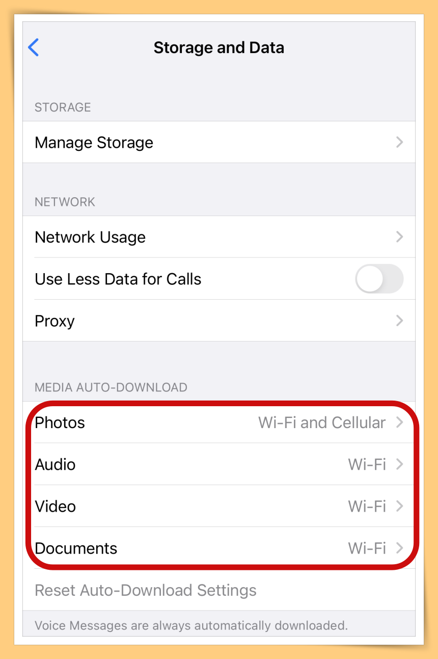 Tips I 手机相册都是WhatsApp照片？教你两招阻挡照片下载到相册！ 更多热点 图11张