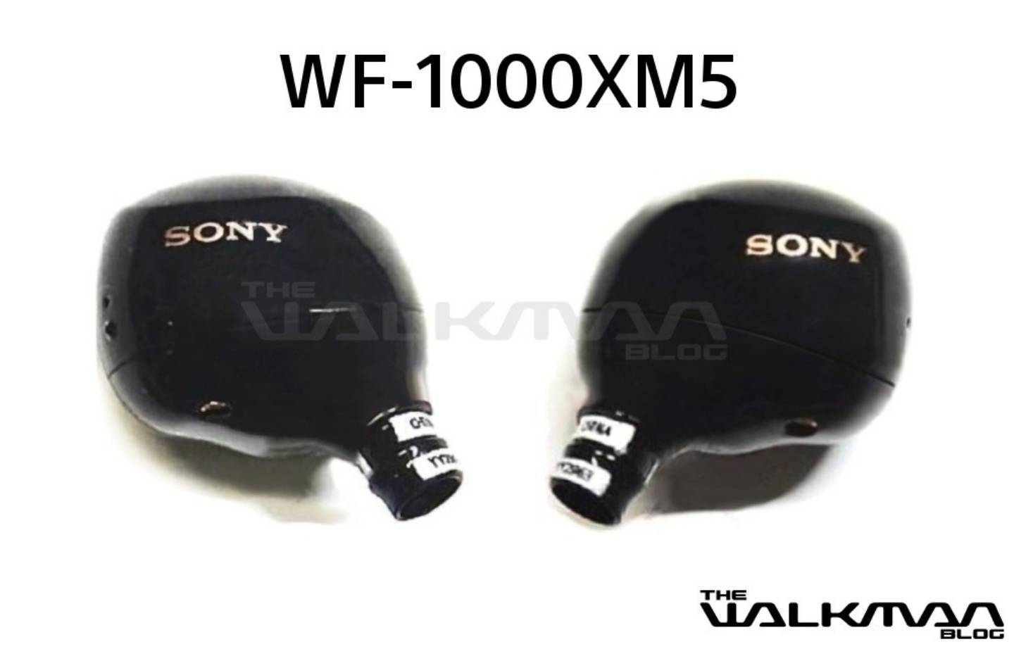 Sony WF-1000XM5 实机照流出！耳机体积可能又会变更小、更轻巧 数码科技 图2张