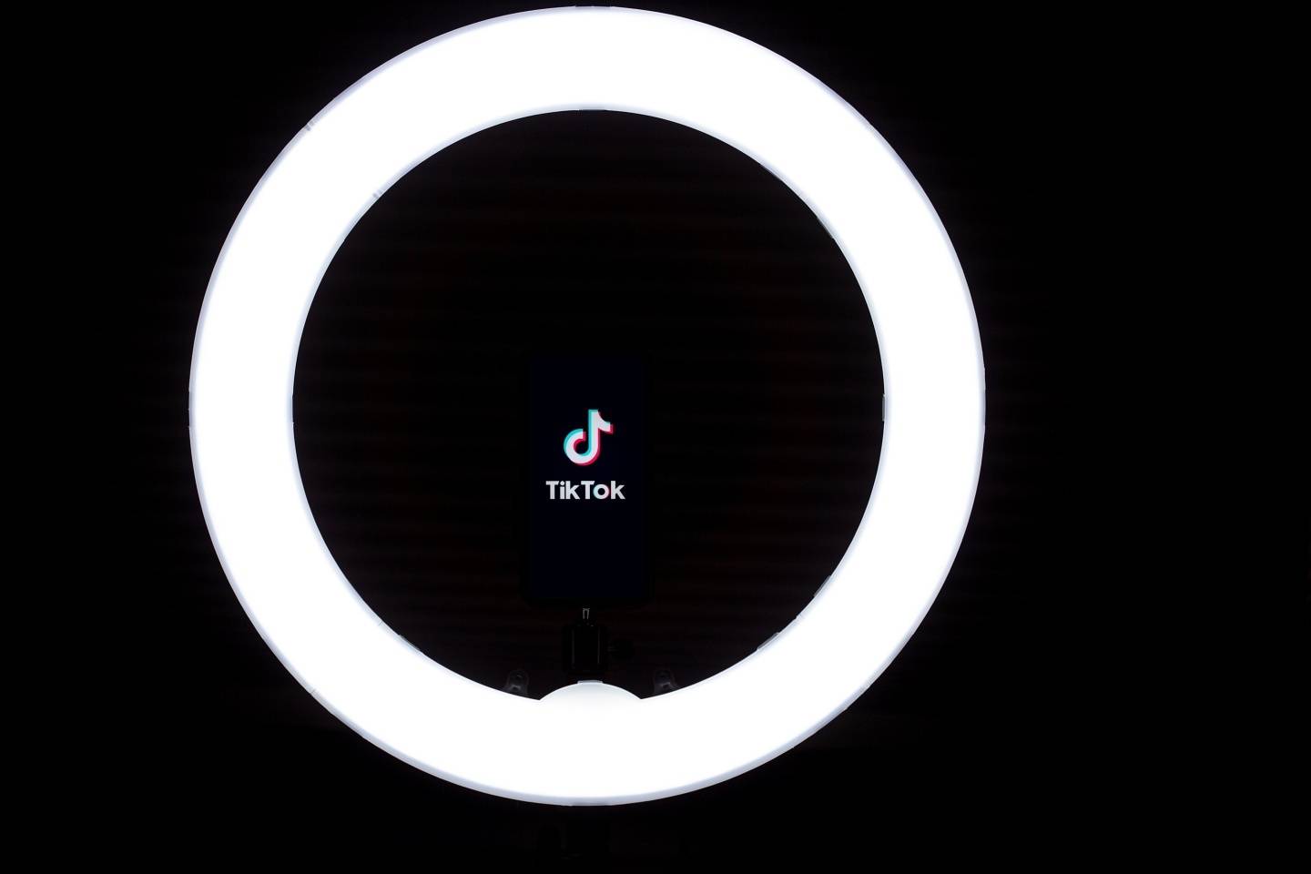不只 TikTok！法国下令公部门手机禁用 Candy Crush、Netflix 和 Twitter 数码科技 图1张
