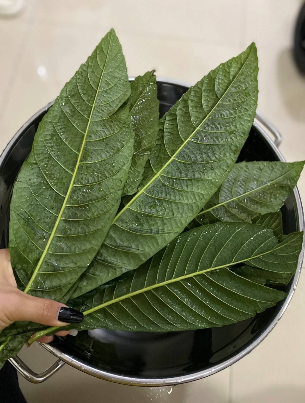 相关信息 I 化痰止咳的枇杷膏不是来自枇杷果肉？食用3好处3禁忌 更多热点 图3张