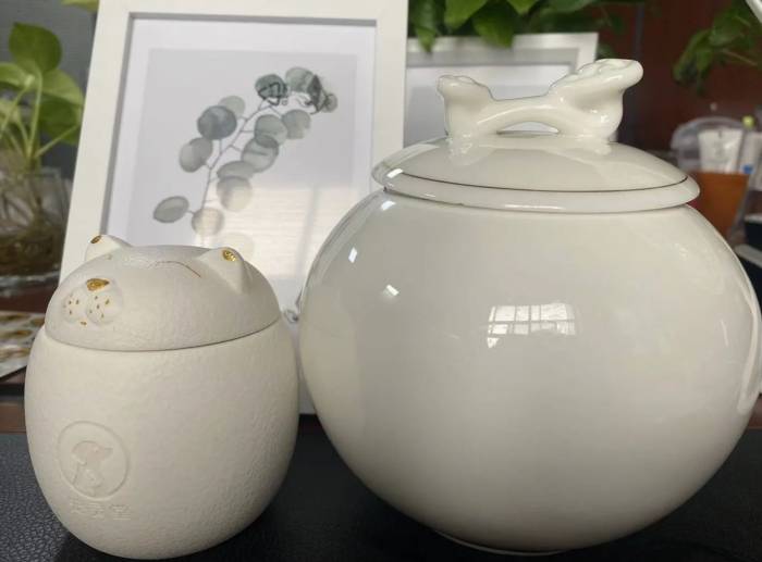 相关信息I 宠物去世后该如何处理？挖个洞埋进去不对吗？ 更多热点 图1张