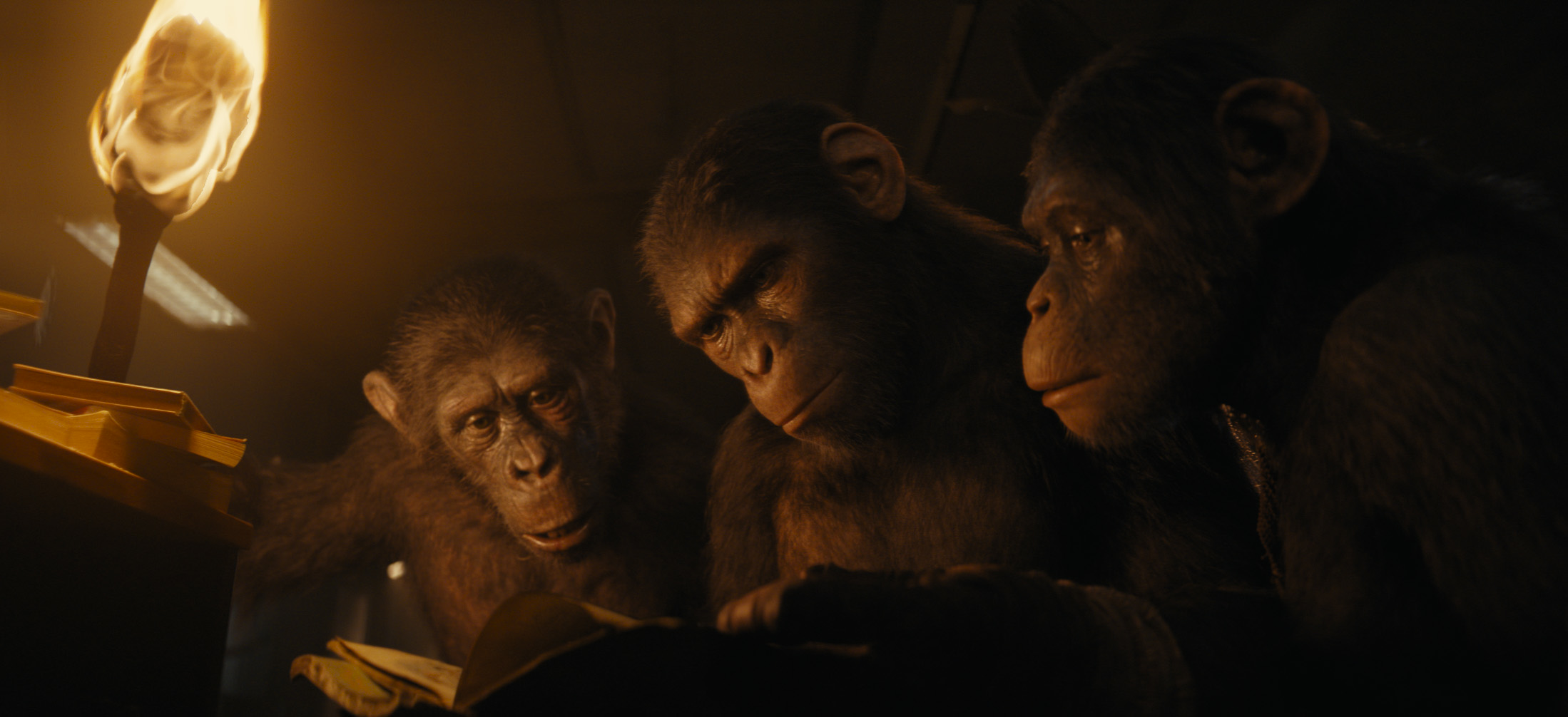 影评 | 世界被人猿主宰！ 《Kingdom of the Planet of the Apes》 展现复杂人性 图3张