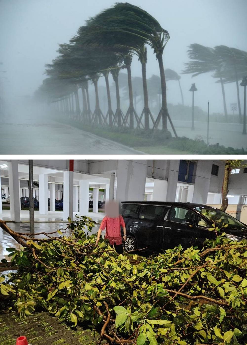 相关信息 | 马来西亚暴雨不断！记下来 10大防台风事项 高楼住户用这招防止玻璃破碎 更多热点 图3张