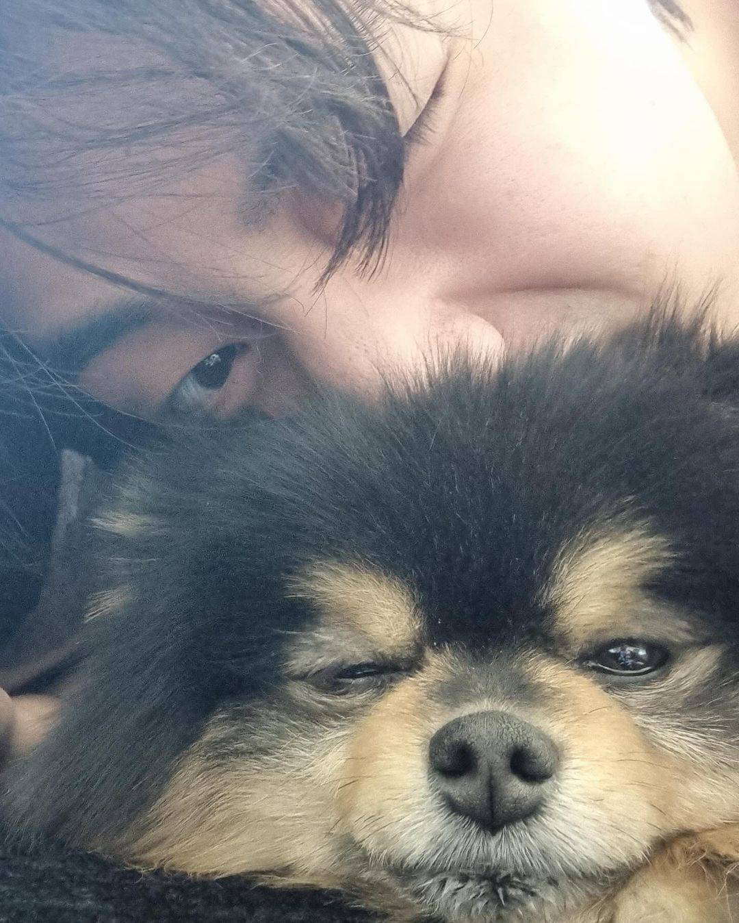 BTS V 爱犬离世！晒珍藏画面：煤炭去小狗星球旅游 娱乐资讯 图3张
