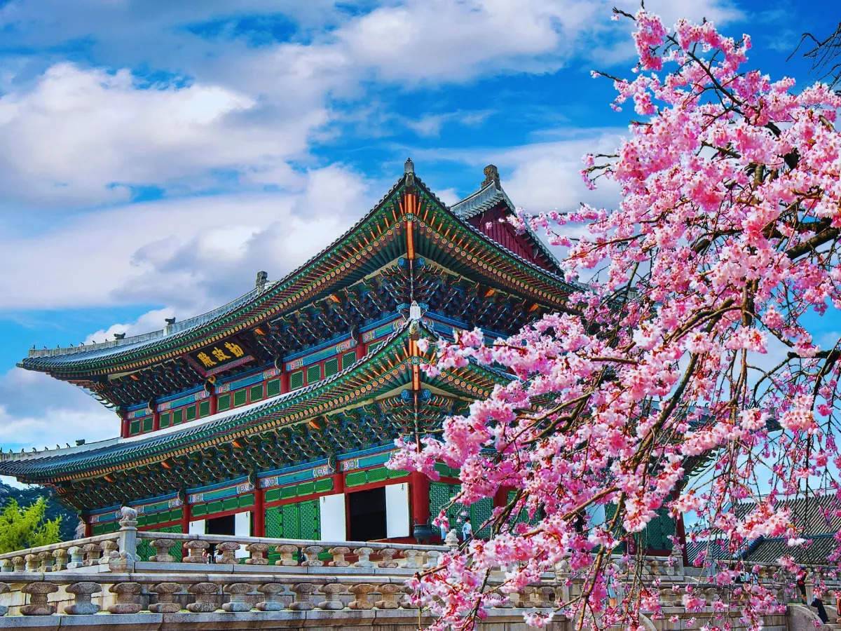 旅游｜马来西亚人看过来！一文了解 哪些地区要申请VISA、ETA！ 更多热点 图9张