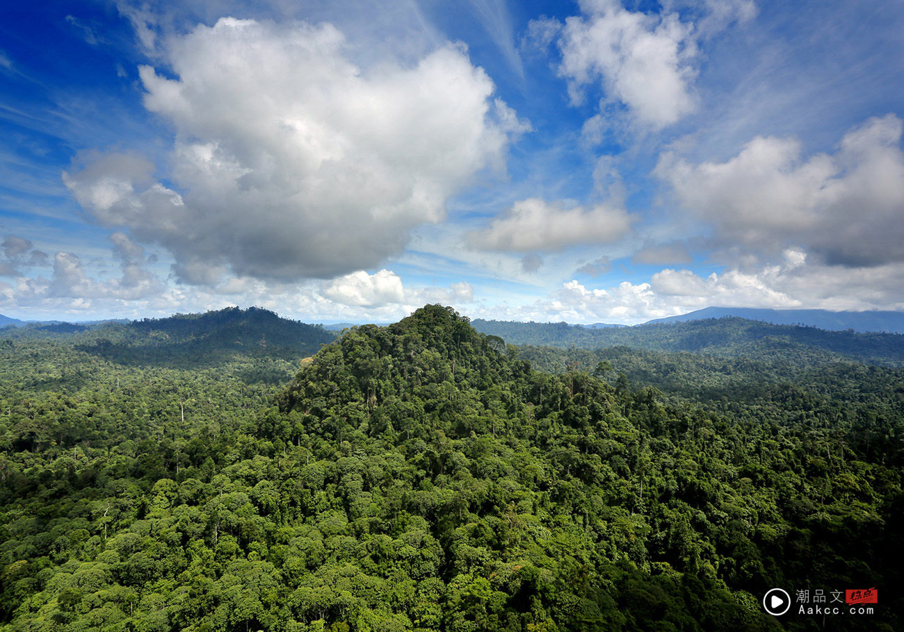 旅游｜5个马来西亚大自然好去处！探索红树林、萤火虫、原住民文化！ 更多热点 图1张