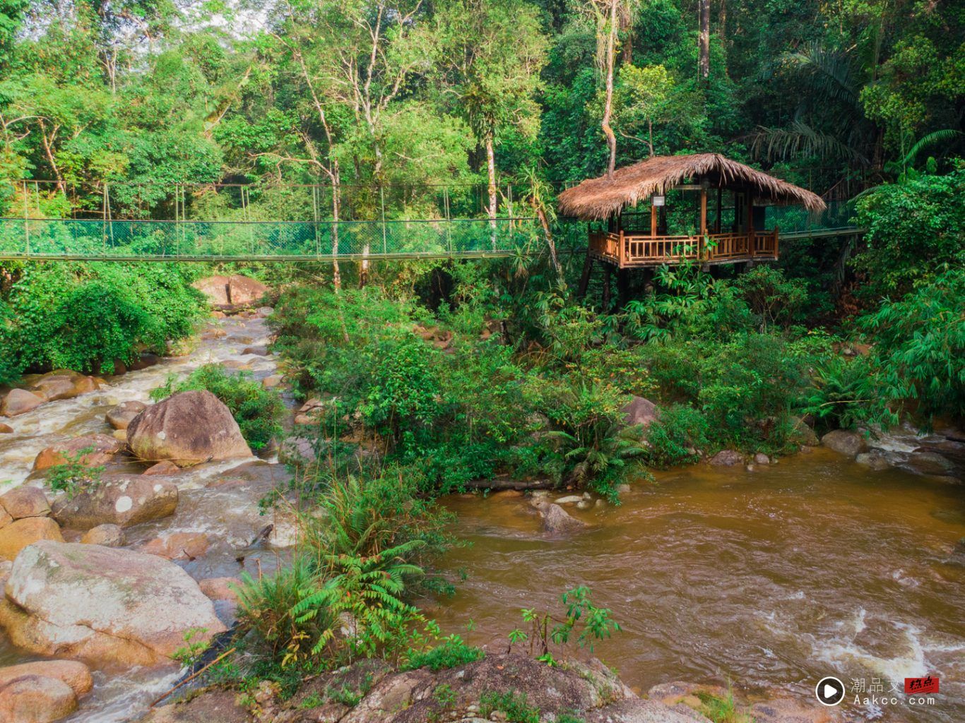 旅游｜5个马来西亚大自然好去处！探索红树林、萤火虫、原住民文化！ 更多热点 图6张
