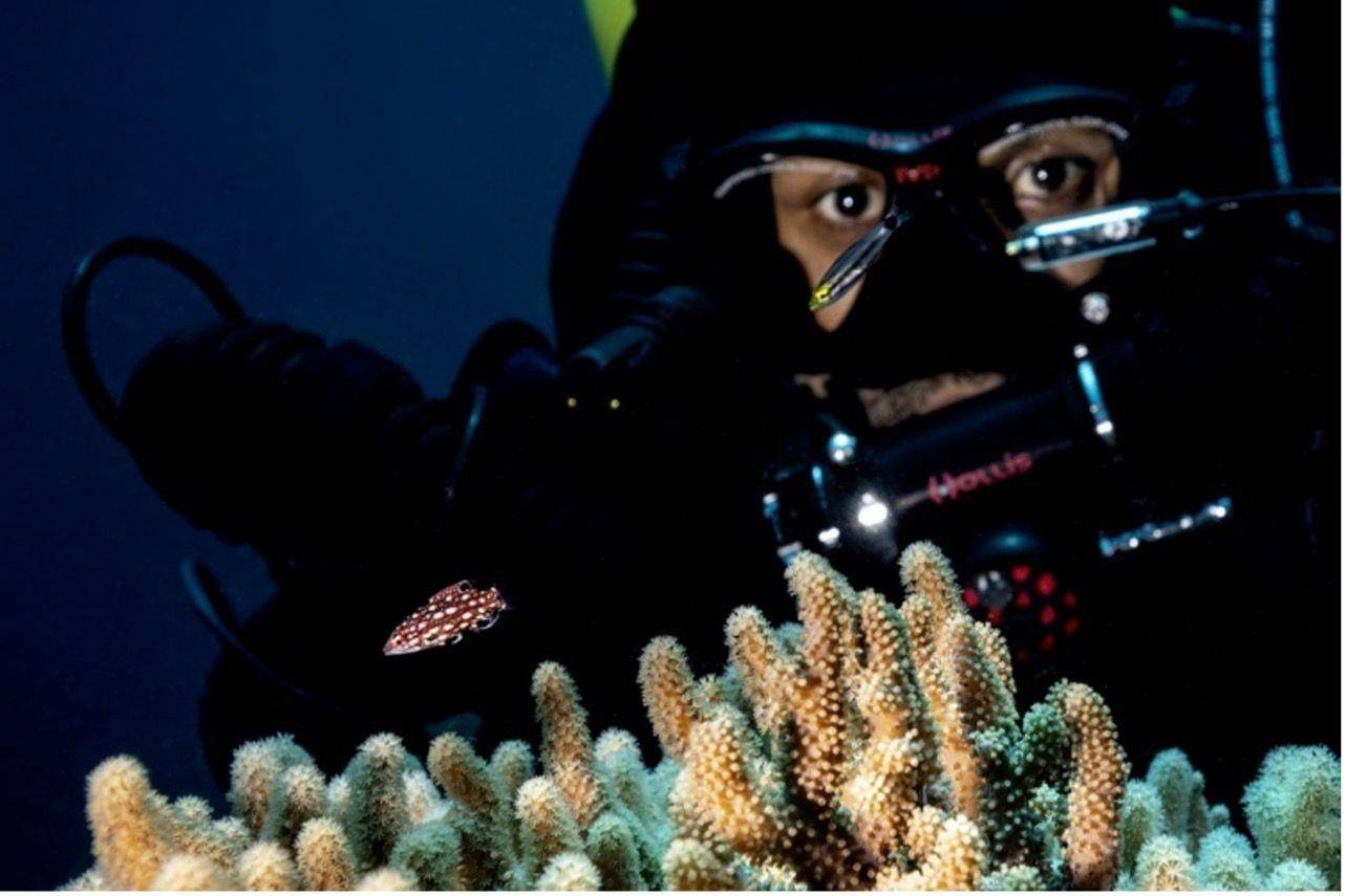 探索极地、守护深海珊瑚礁与游牧资源！劳力士雄才伟略大奖新得主创下“环境保护”新高度 名人名流 图4张