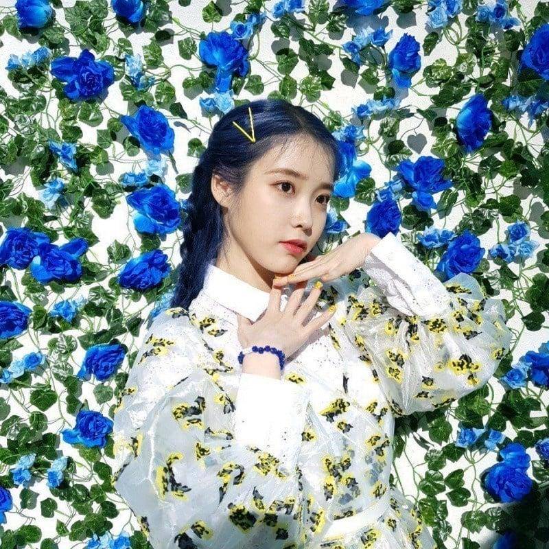 2023年必染韩星同款发色！太妍琥珀茶棕显白、Momo奶茶金挑染超时髦 最新资讯 图6张