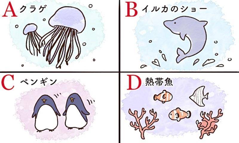 日网超夯心理测验“水族馆先看哪个动物”　秒揭爱情观和渴望 最新资讯 图1张