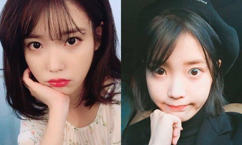 杨颖短发超逆天！6位女星长短发对比　IU初恋感满满、赵丽颖更显老 最新资讯 图10张