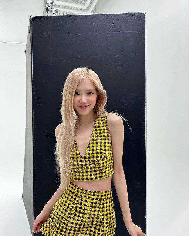 7位又美又会穿的腰精系女星　Rosé、Jennie“炫腹穿搭”超吸睛 名人名流 图3张