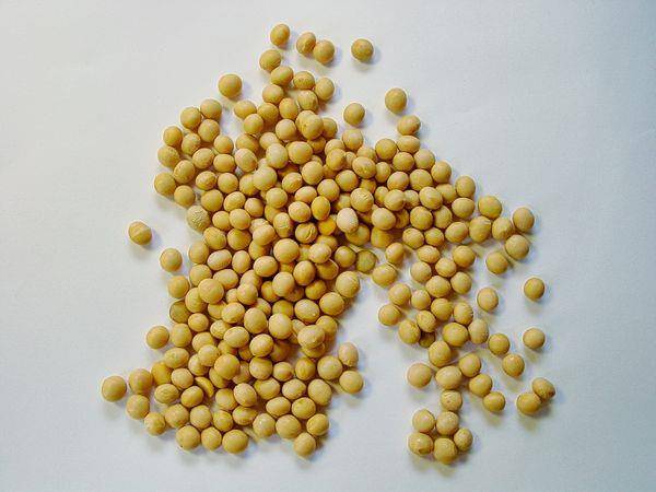 减重必看！营养师推荐5款“燃脂食物”，击退腰间肉 最新资讯 图4张