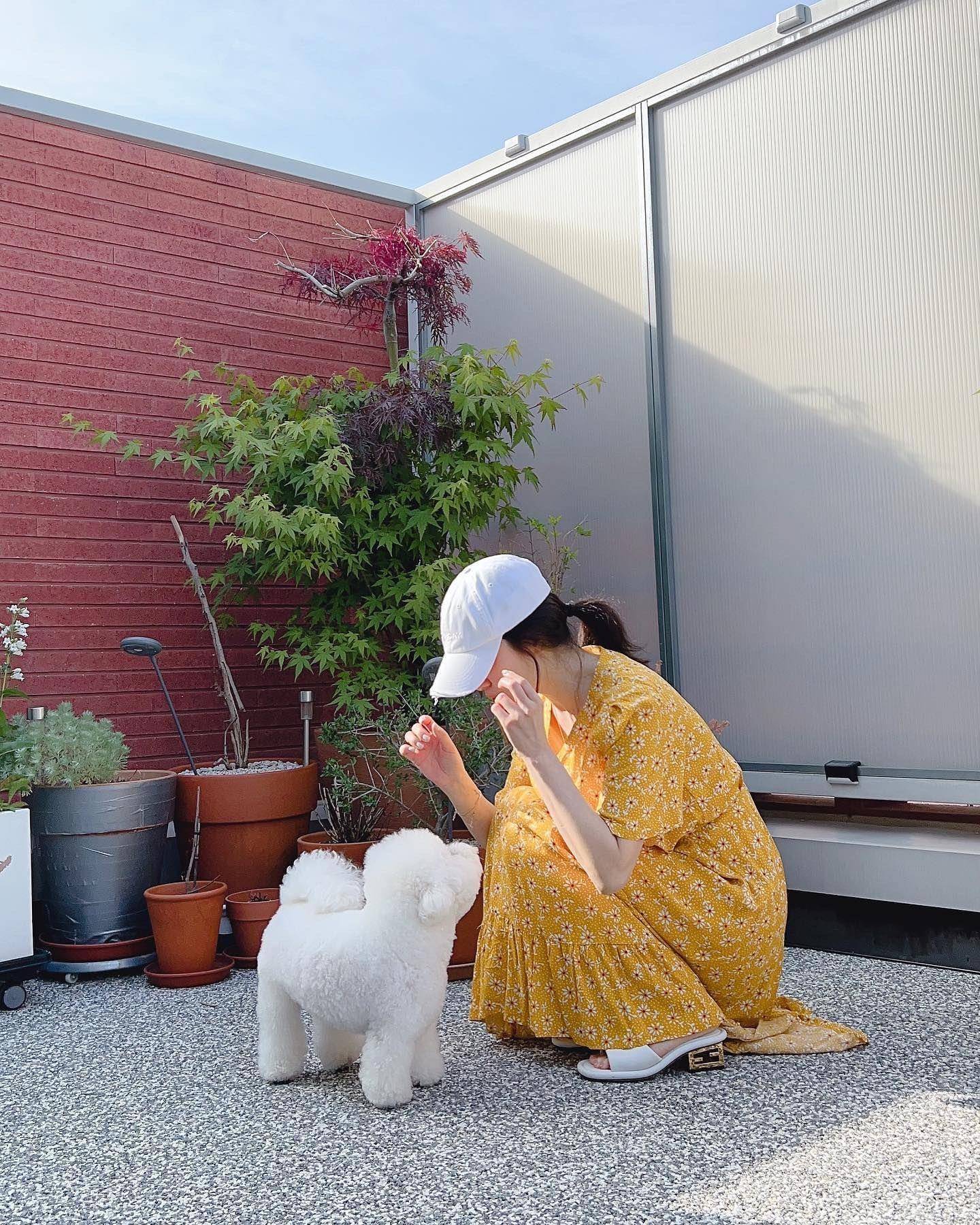 宋慧乔遇见萌犬就融化了　甜美碎花装泄少女心 时尚穿搭 图2张