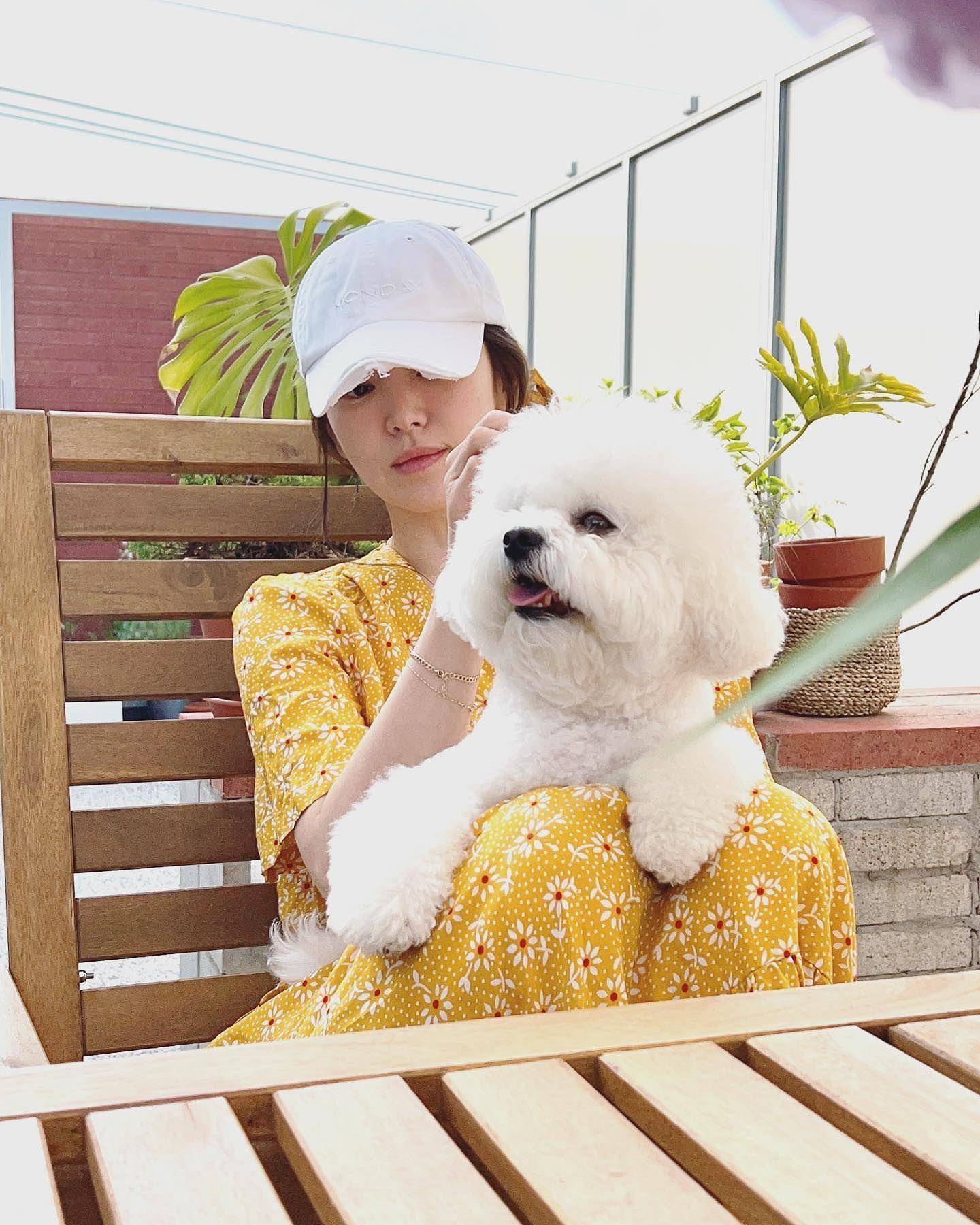 宋慧乔遇见萌犬就融化了　甜美碎花装泄少女心 时尚穿搭 图3张