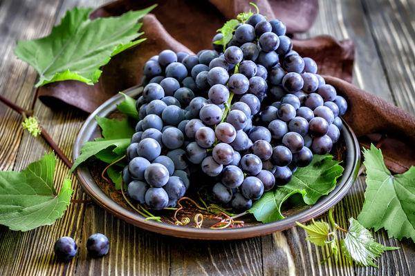 抗老防斑点！营养师曝“13种皮肤最爱的食物”让你吃出美肌 最新资讯 图2张